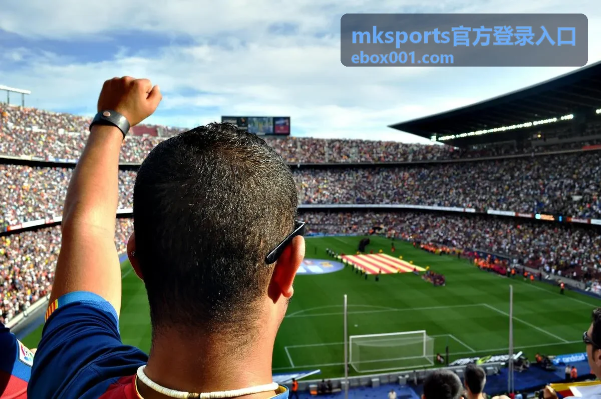 mksports官方登录入口的地址核对与访问示意